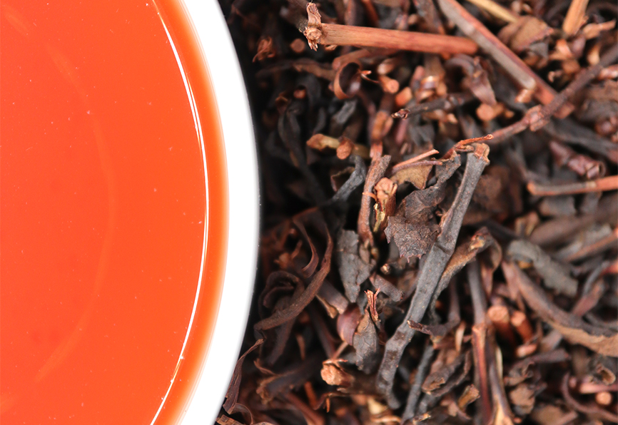 牧之原山本園茶園紹介和紅茶専門店レインブラントティ