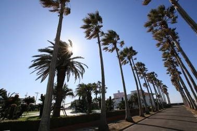 湘南ドライブスポット5選海に臨みながら国道134号線を走る