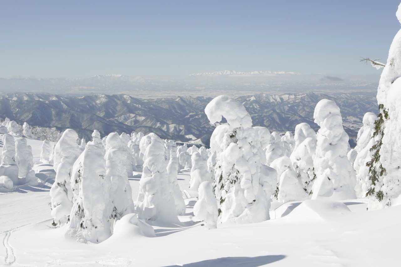 宿泊 - 蔵王ライザワールド