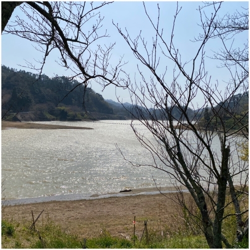 佐久間ダム湖親水公園周辺のご当地グルメランキング - じゃらんnet