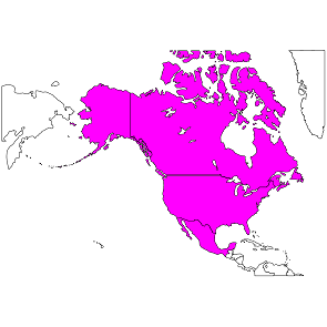 南米 パラヴァイ共和国 PARAGUAY