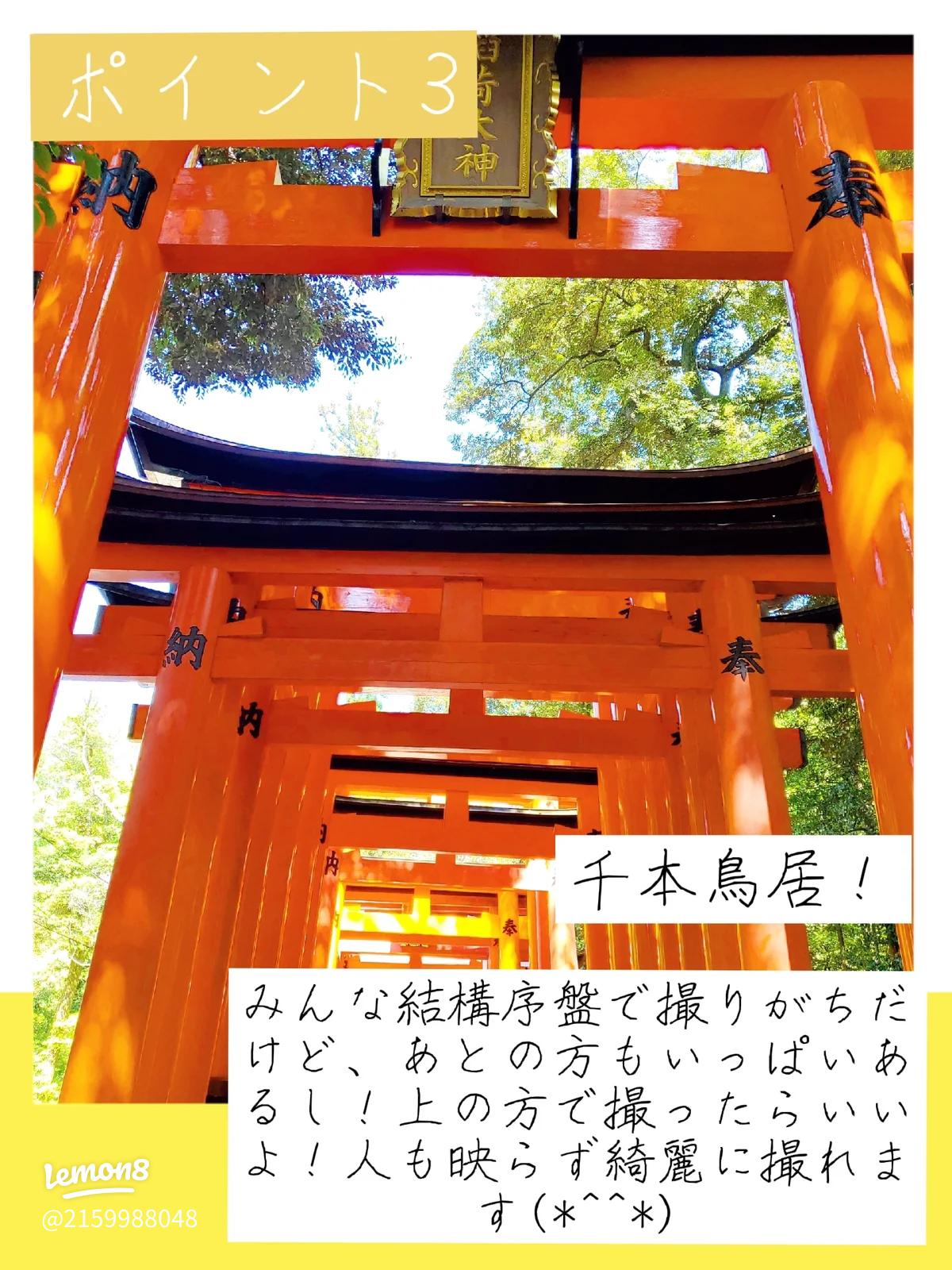 ☆撮影のコツ1,097☆ 千本鳥居の入口。 左写真は色が鮮やかです。 右写真は、太陽の光を入れて撮影しました。ハレーションにより、少し白っぽくなりました。