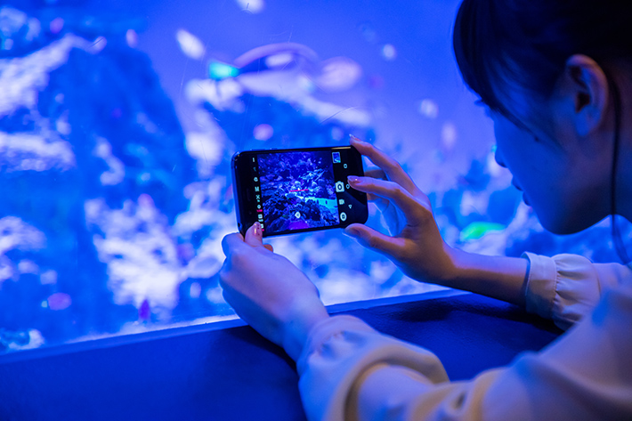 カメラマンが教える絶景＆撮影テクニック～夏から秋にかけての福岡のおすすめスポットを紹介～楽天トラベル