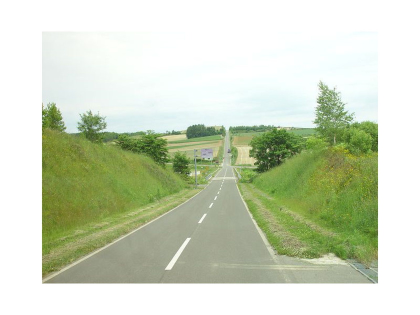 青い池」と「ファーム富田」と「ジェットコースターの路」あんきにしとるかの