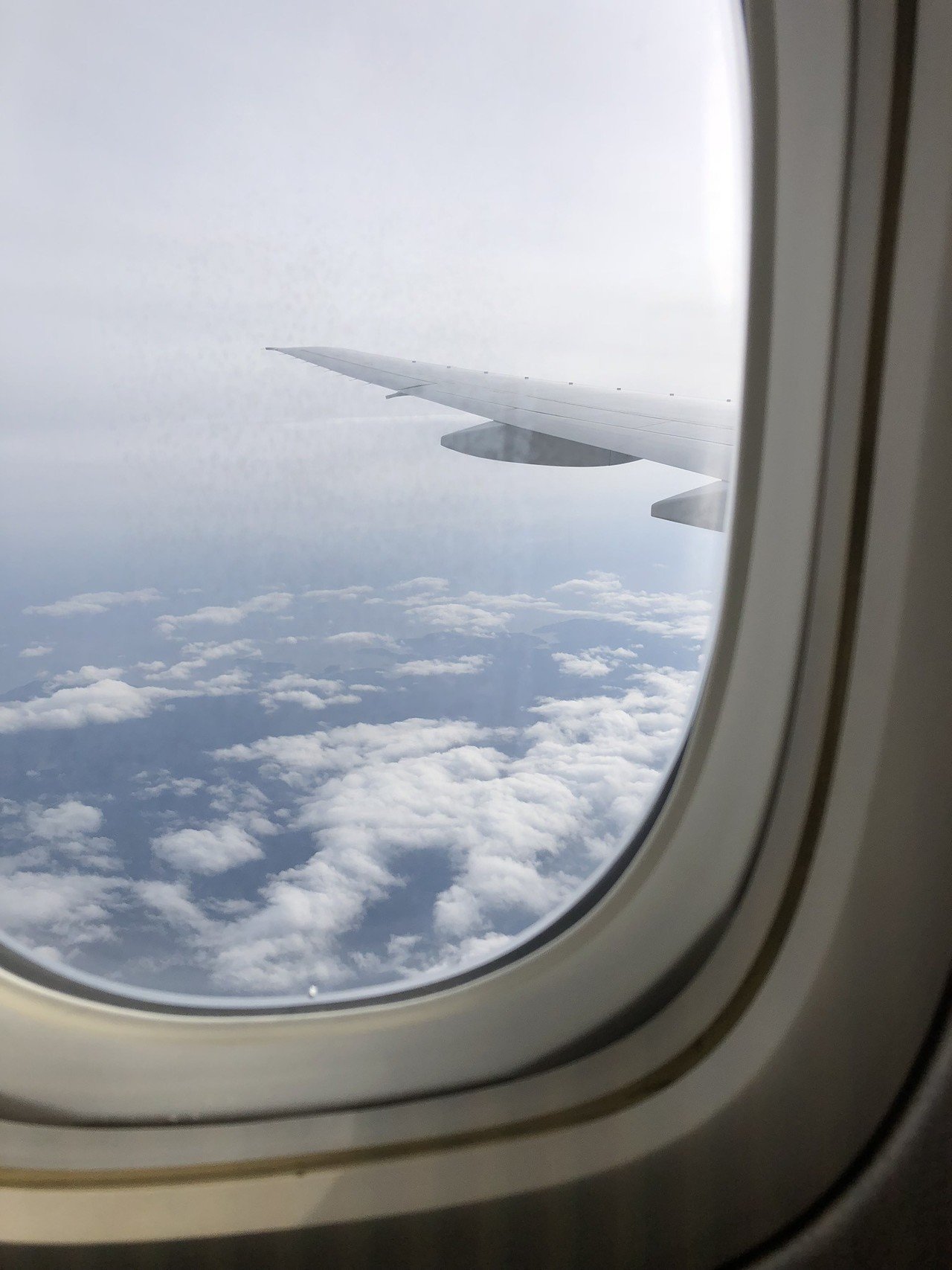 絶景 飛行機の窓から眺める100万ドルの夜景！撮影のコツも旅案内観光情報ブログたびとる