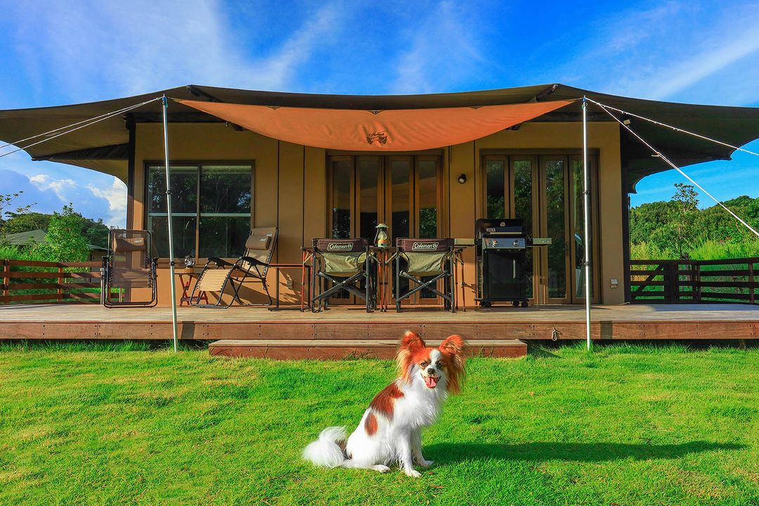 東海のおすすめグランピング施設20選カップル・子連れ・ペット同伴可も◎観光情報メディア colmo コルモ