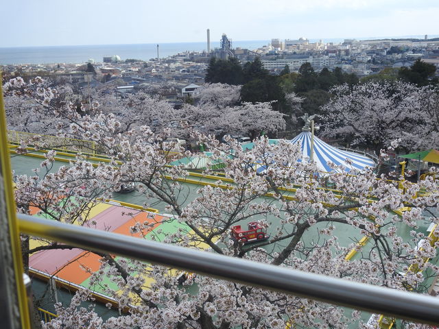 動物園に遊園地、レジャーランドも！「日立市かみね公園」で1日たっぷり遊ぼう♪ 茨城- One Access