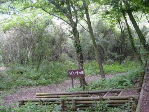 泉の広場 景観一例 -