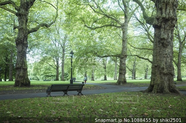 9ページ目ヨーロッパ 公園の写真素材写真素材なら「写真AC」無料 フリー ダウンロードOK