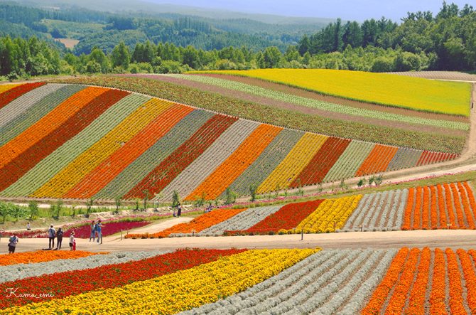 北海道の女子旅モデルコース！インスタ映えを叶える弾丸1泊2日のプランを紹介