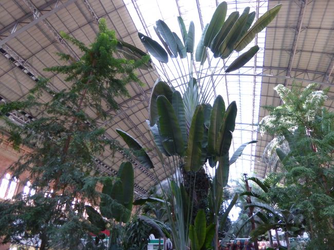 マドリード：アトーチャ駅の荷物預かり所Klook