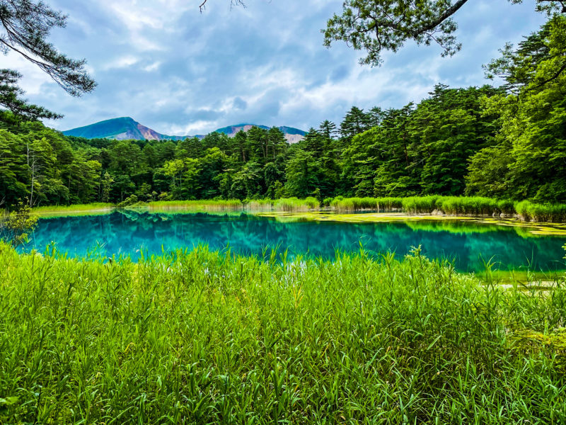福島五色沼は新緑も紅葉も最高！自然探勝路を歩き水面の景色を堪能 - amAtavi