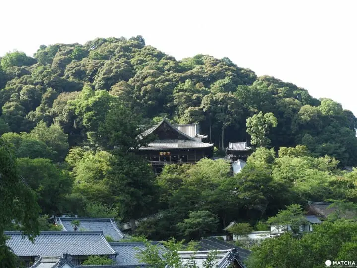 長谷寺観音信仰と四季の花が彩る、鎌倉を代表する癒しの名刹