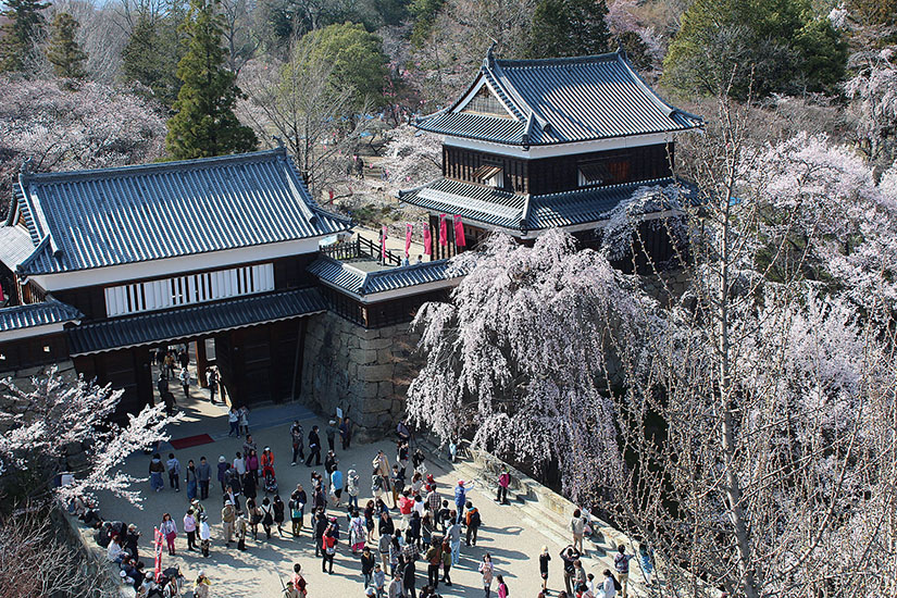 2025年最新 上田市周辺の子連れで楽しめる観光スポット14選