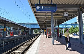 ヌークシオ国立公園、フィンランド：見るべきものと楽しむべきことガイド