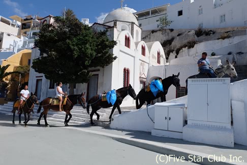 ギリシャの家々が白い理由とは