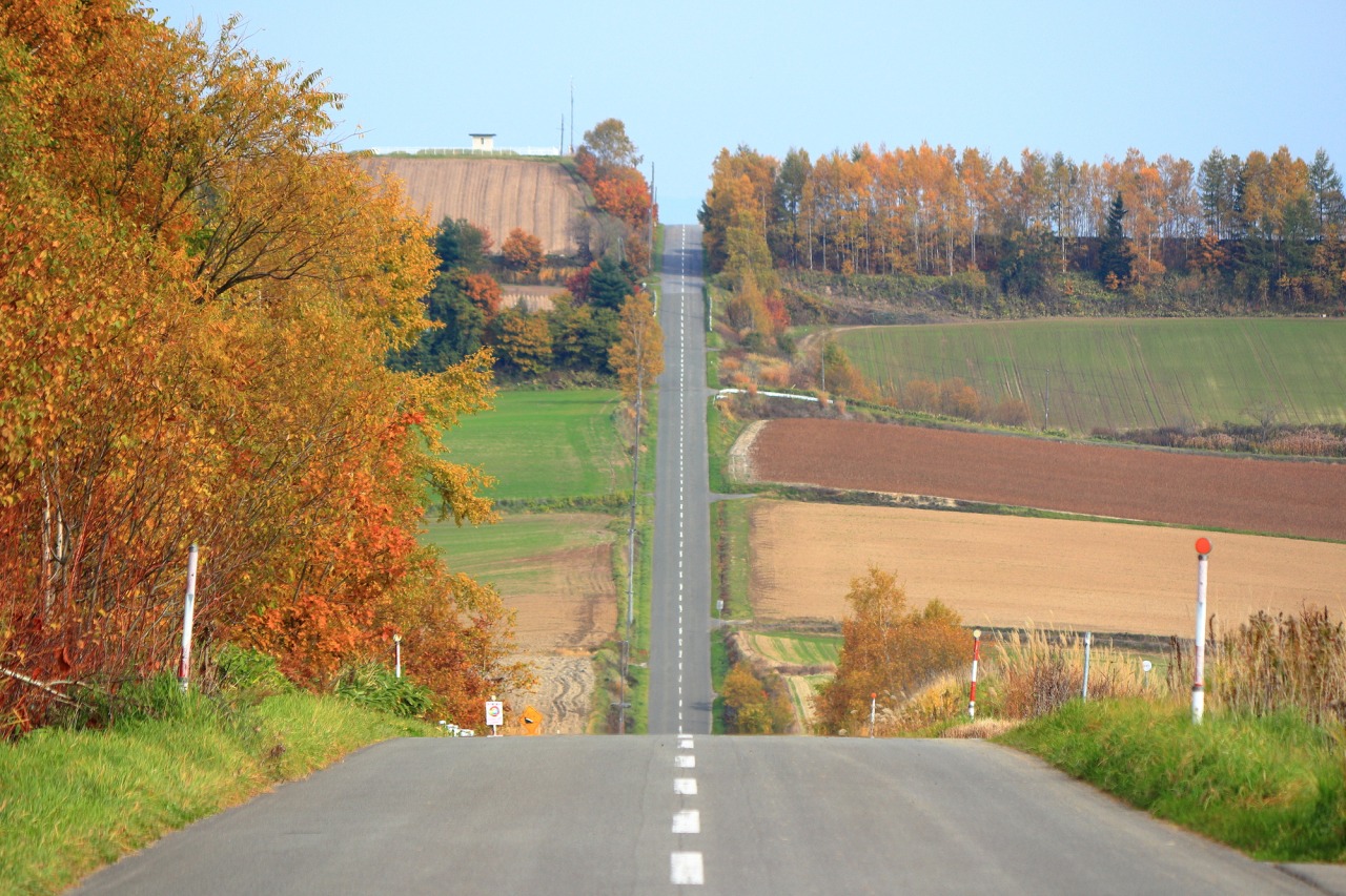 ジェットコースターの路 アクセス・営業時間・料金情報 - じゃらんnet