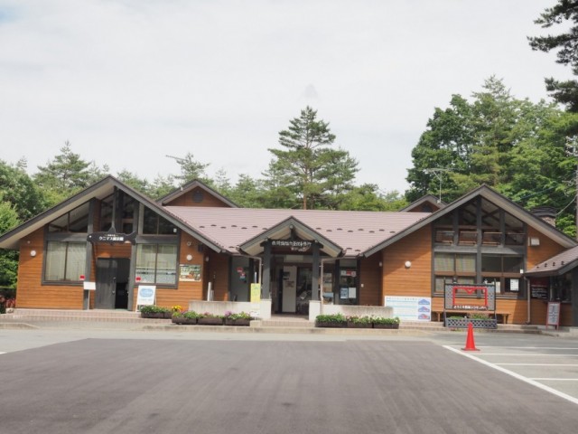 2025年 西湖蝙蝠穴 - 出発前に知っておくべきことすべて -