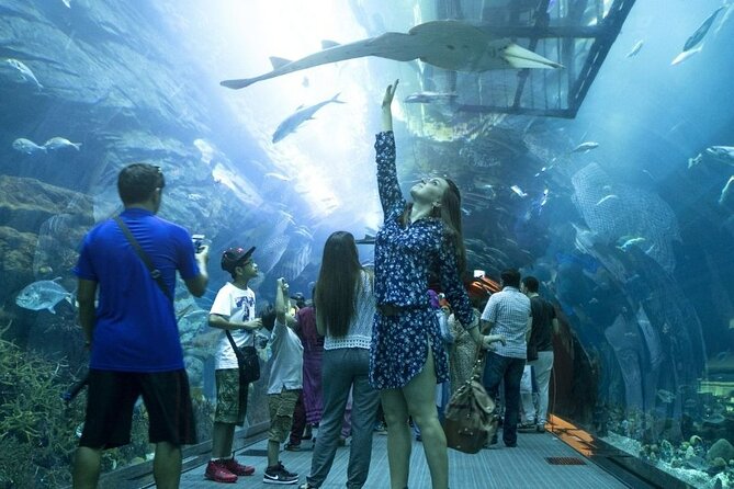 モールの中に水族館？キッズも大人も楽しめるドバイ水族館&水中動物園 Dubai Aquarium＋UnderwaterZoo AmazingactivitiesAmi-Go!