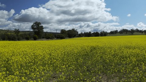 何をして美貌を保っているの？ オージー美女のビューティライフ事情ダイエット、フィットネス、ヘルスケアのことならFYTTE-フィッテ