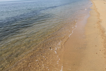 矢寄ヶ浜・西脇海岸 西脇海水浴場 BBQもできる遠浅の牛窓の浜辺 岡山県瀬戸内市岡山スタイル