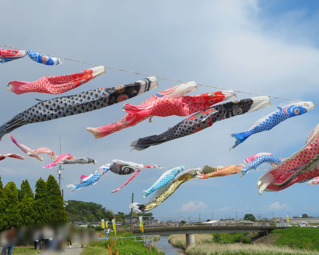 鯉のぼり」を見に行こう！大空に伸び伸びと泳ぐ、湘南の鯉のぼりスポット＆イベント5選：2019年度版 湘南湘南エリア横浜・湘南で子供と遊ぶ- あそびい横浜・湘南
