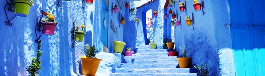 2024-2025年末年始のモロッコ旅⑤ シャウエン、思った以上の猫天国 』シャウエン モロッコ