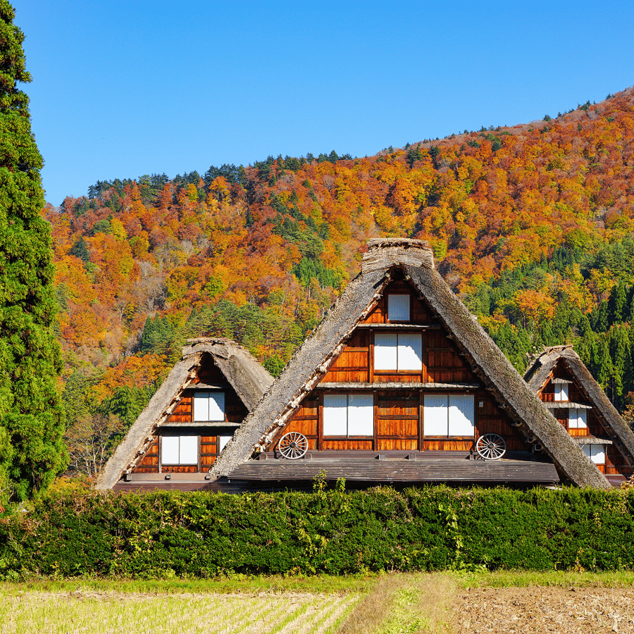 한국인공인전문가이드 통행료포함세계문화유산