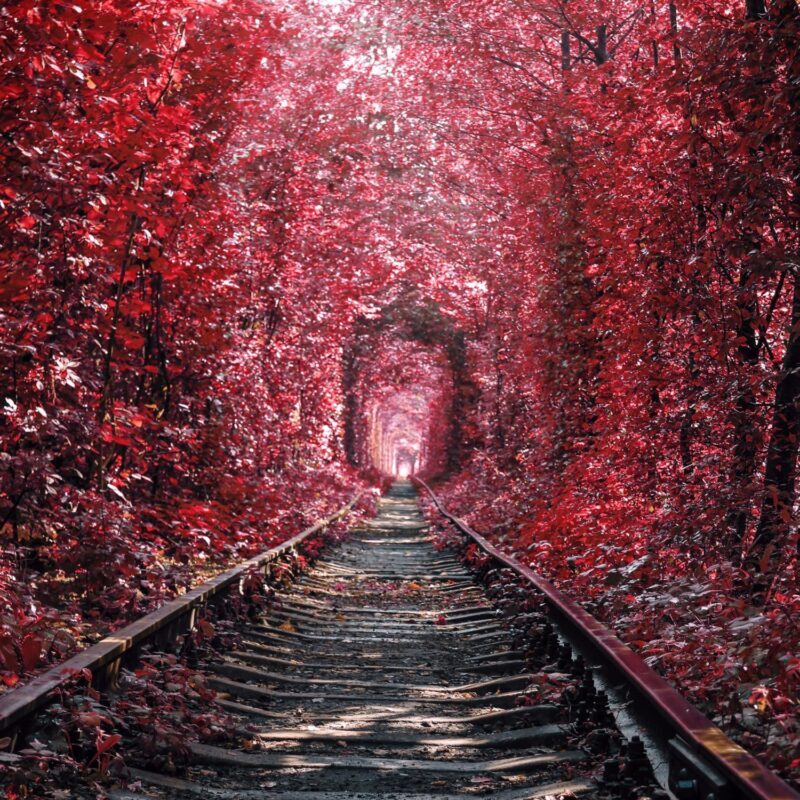 恋のトンネル 愛のトンネル 」徹底ガイド旅の大事典