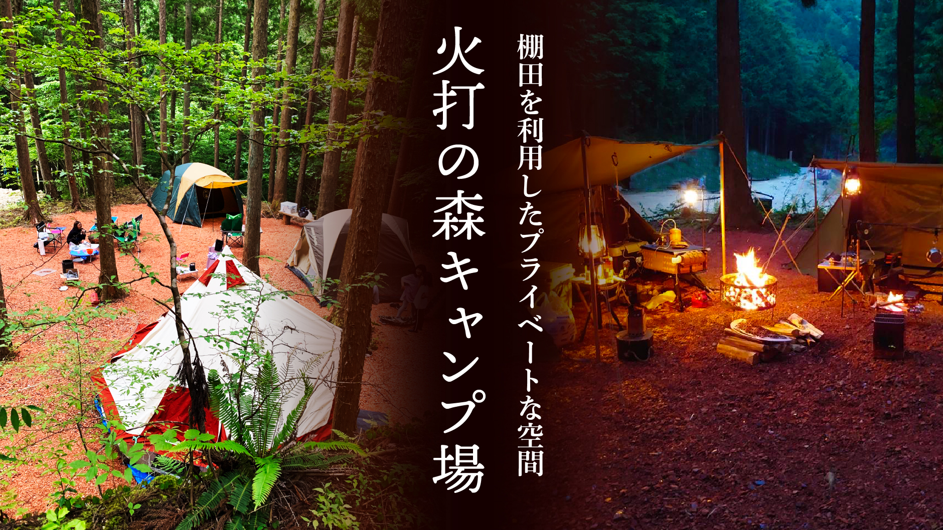 夜の芝生サイトもいい雰囲気でした♪ 木などの遮蔽物が少ないので星もよく観えます。芝生サイトクオーレふれあいの里美濃白川クオーレの里キャンプ場岐阜県キャンプ場白川町通年キャンプ場オートキャンプモニターキャンプ冬キャンプファミリー