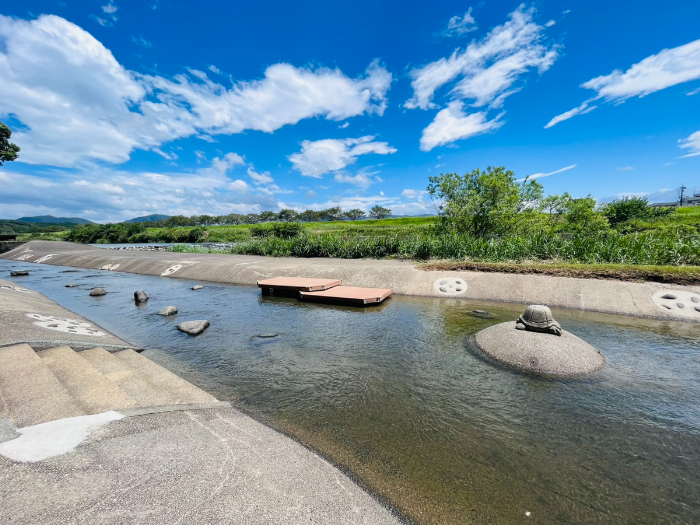 熊本川遊びTikTok