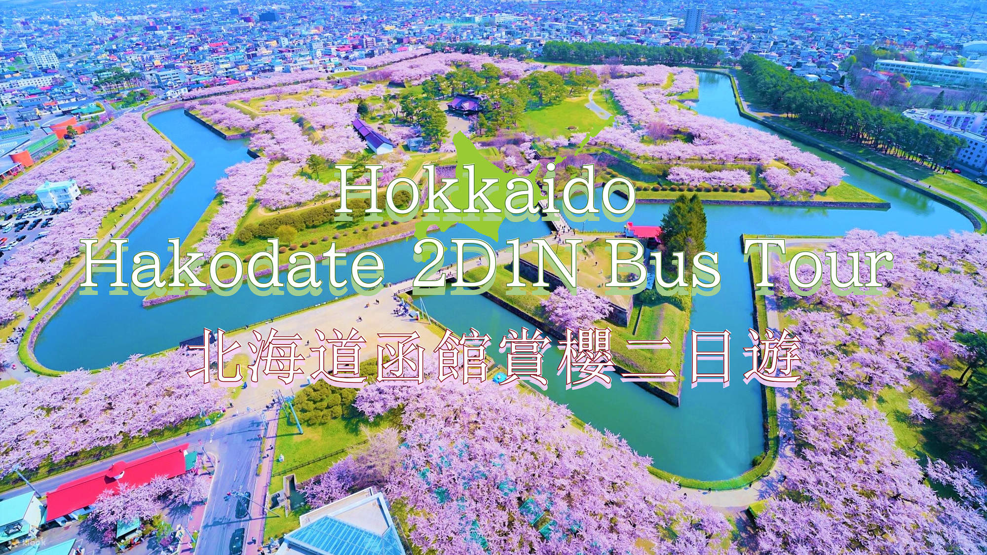 2017年、函館公園の露店と五稜郭公園の花見電飾はいつからいつまで？函館イベント情報局