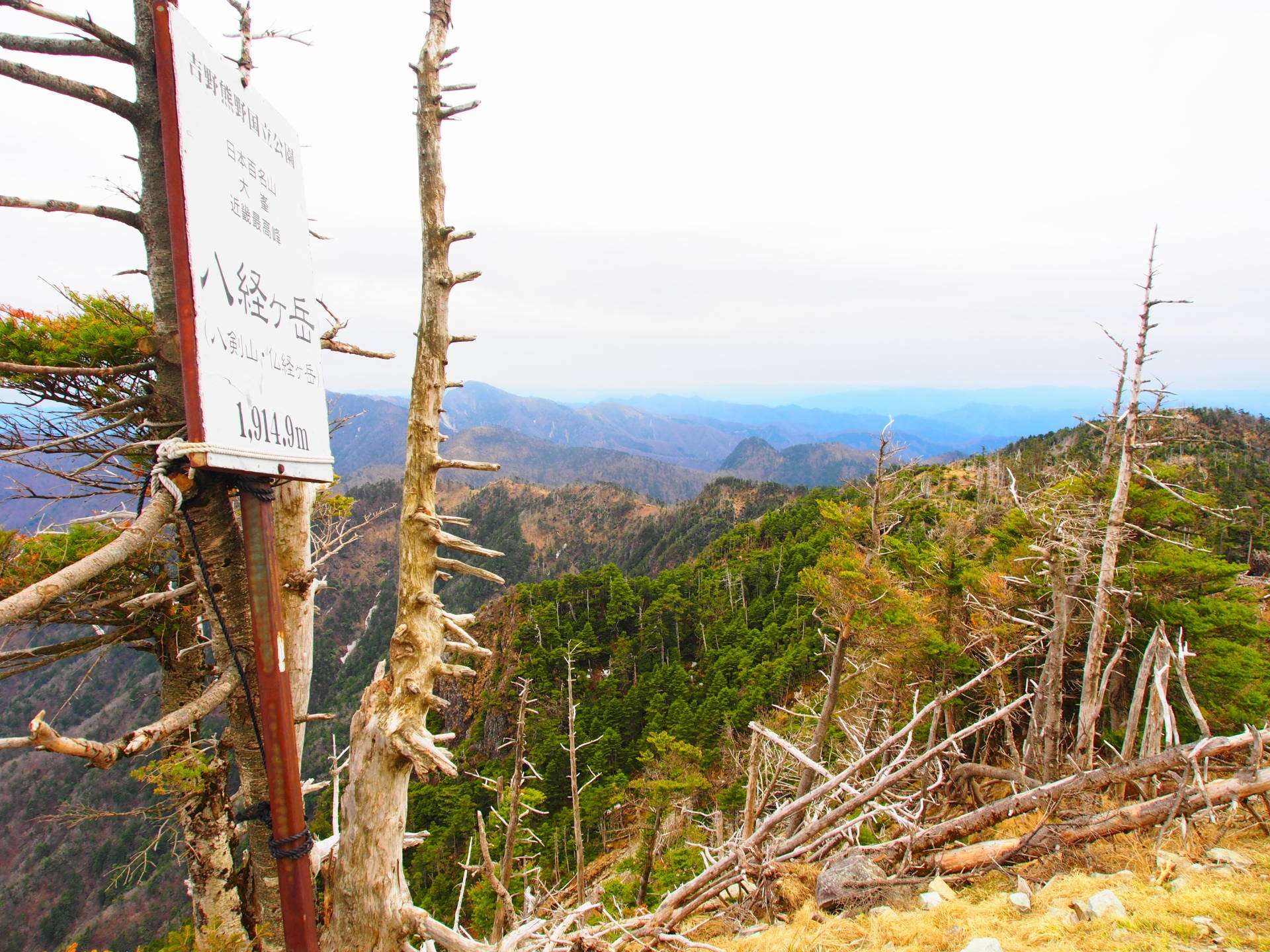 八経ヶ岳 残雪ありの近畿最高峰の山を行者還トンネル西口ルートで登山とりっさーん