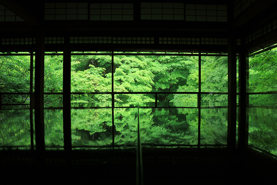 雨の日に京都の街並みを撮影した結果、風情ある和な写真を撮れることを発見！ソロ旅 note