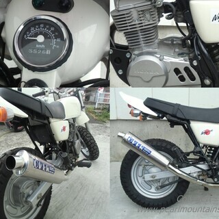 ホンダエイプ50 スクランブラーカスタム オフロード仕様ape50カフェレーサ