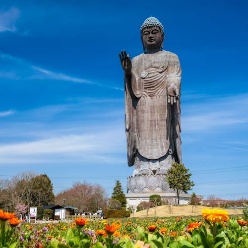 牛久大仏車椅子で行く神社仏閣・パワースポットの旅