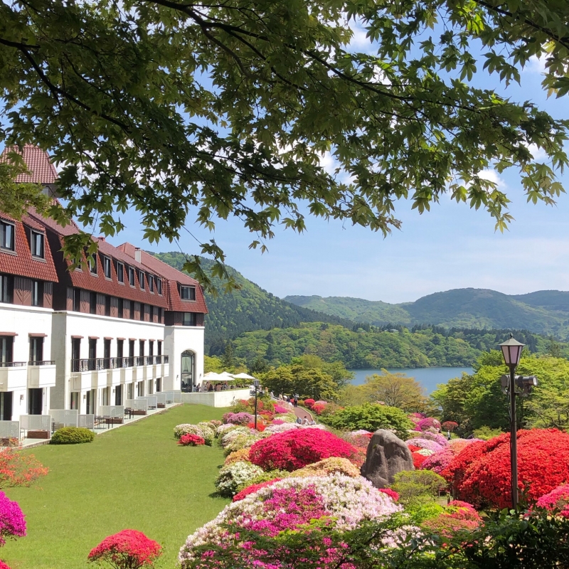 画像414＞箱根でイルミネーション＆日帰り温泉旅！3つの美術館＆ミュージアムが光り輝くウォーカープラス