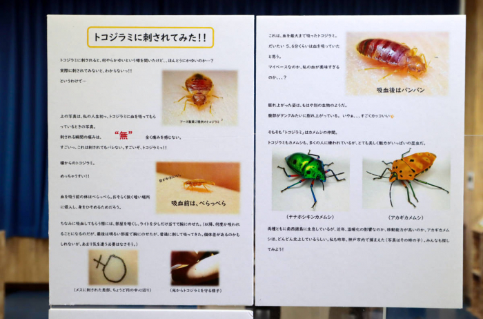 トコジラミの弱点は熱！コインランドリーの高温乾燥で駆除対策。利用時のポイントも解説