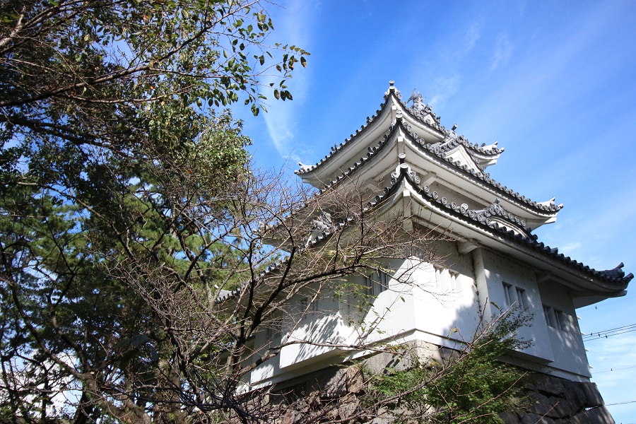 桜咲く津城跡 桜満開のお城公園 津の桜の名所 三重県観光名所