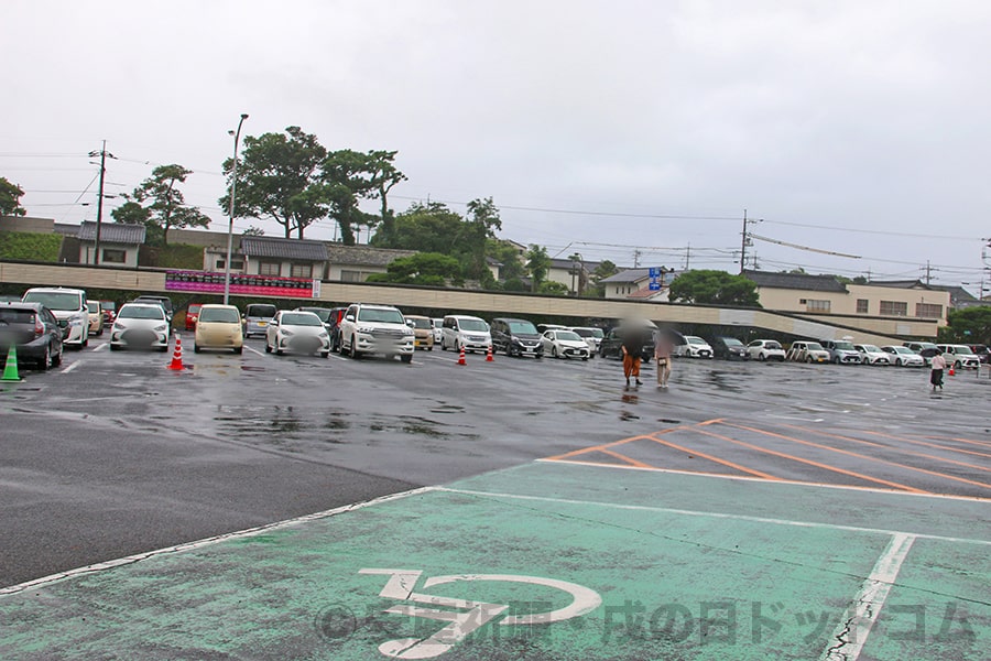 2025年最新 車椅子で出雲大社を参拝する方法段差・駐車場・バリアフリー完全ガイド