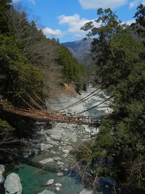 徳島・かずら橋周辺ドライブスポットおすすめ20選！スリル満点の吊橋を楽しもう - じゃらんレンタカードライブガイド