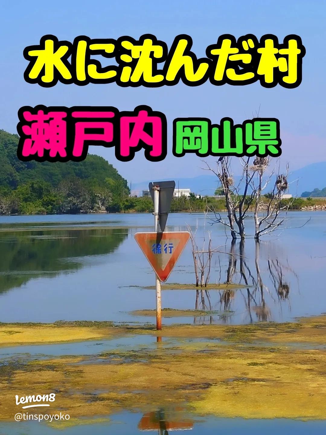 水没ペンション廃墟群をドローンで撮影株式会社フィッツ