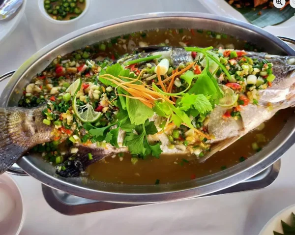 カオサン通りから徒歩圏内のおすすめグルメ・食堂をまとめました！店舗の営業時間、詳しい場所などについてはGoogleMap等でも確認をお願いします。@ri_asiajapan のプロフィールリンクにあるブログ記事でも詳しく紹介しています。 ⁡①