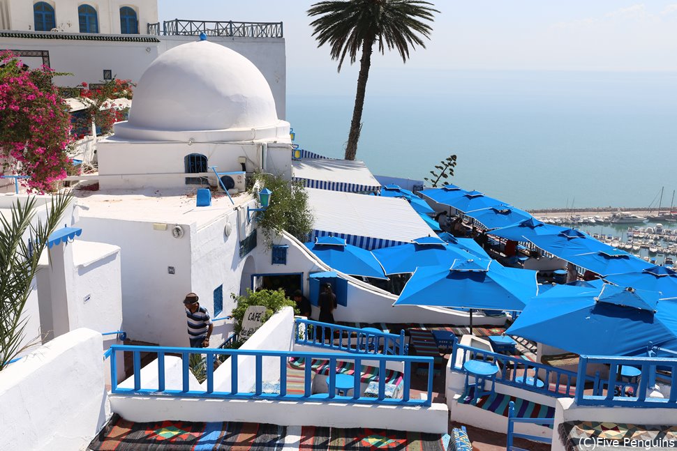 チュニジア女子ひとり旅♪ サベアルギル！チュニジア旅行記STW