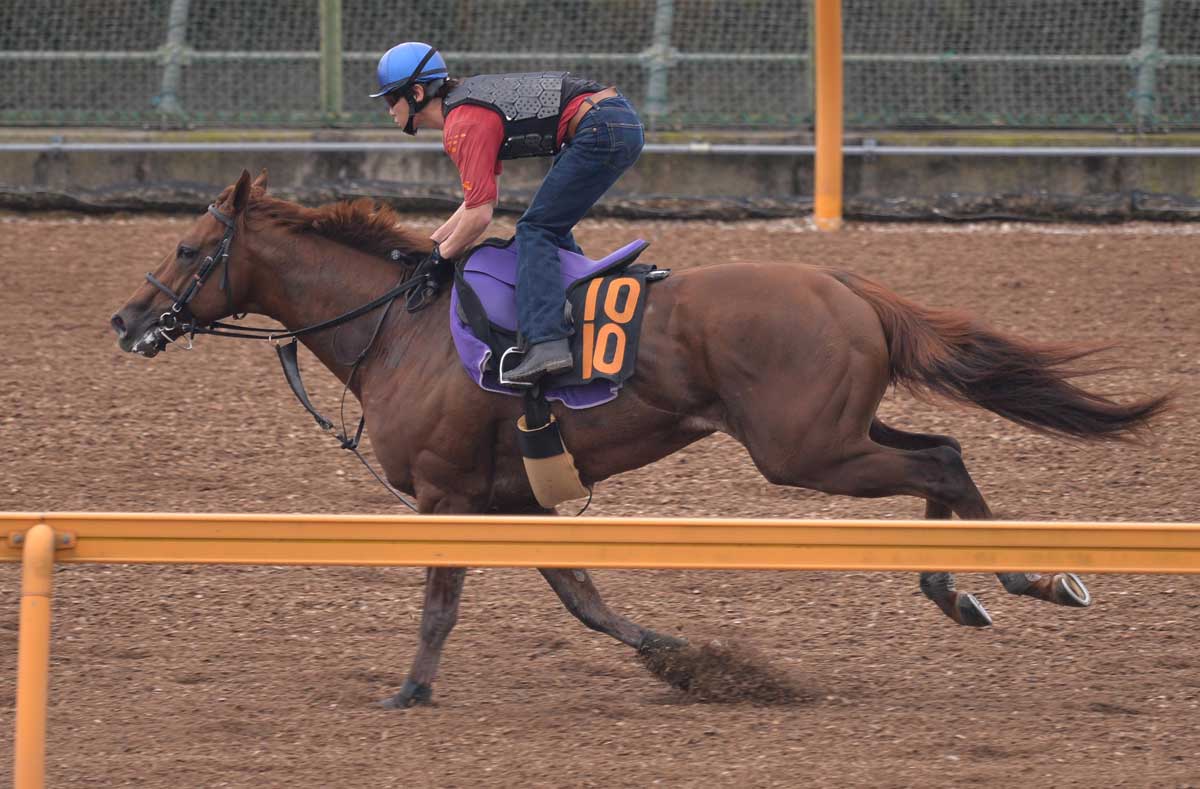 フェデラル・ホールの写真素材59207142- PIXTA