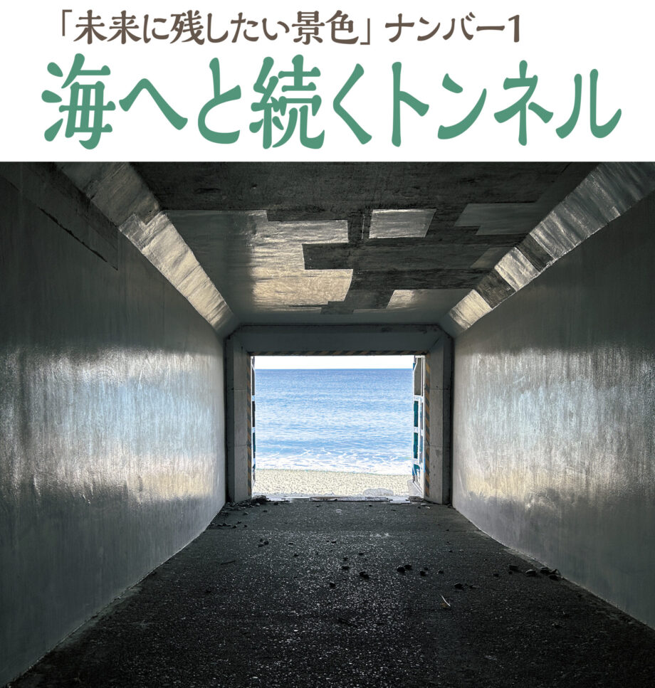 御幸の浜の「海へと続くトンネル」から見える光景とは？小田原地方創生メディア Mediall メディアール