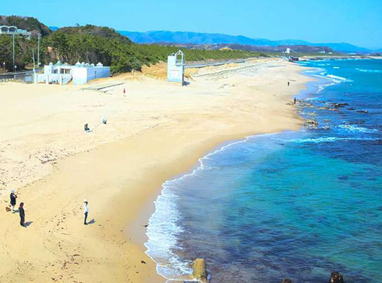 最新 関東 ピクニックに絶対おすすめのお出かけ人気穴場スポットランキング