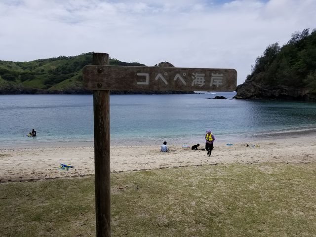 コペペ海岸 アーカイブ -