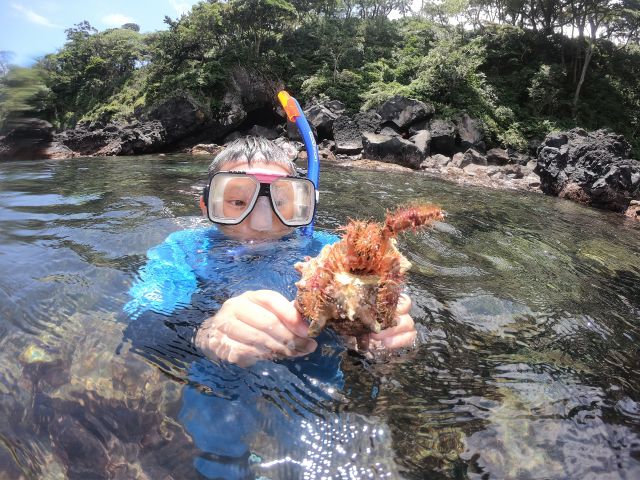 伊豆下田は海がとにかくキレイ！！シュノーケリングが出来る穴場スポットをご紹介！ - 伊豆下田の一棟貸別荘「碧