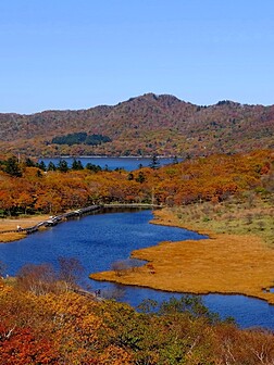 白砂渓谷ラインの紅葉見頃・天気情報 2025 - 日本気象協会 tenki.jp